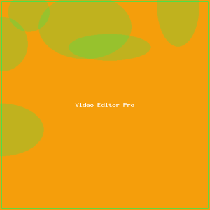 Video Editor Pro